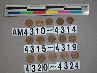 藏品(中華民國1圓硬幣)的圖片